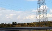 Trabalhos de Corte de Àrvores e limpeza do Mato - Aviso aos proprietários  de terrenos