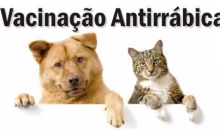 Calendário de Vacinação Antirrábica e Identificação Eletrónica